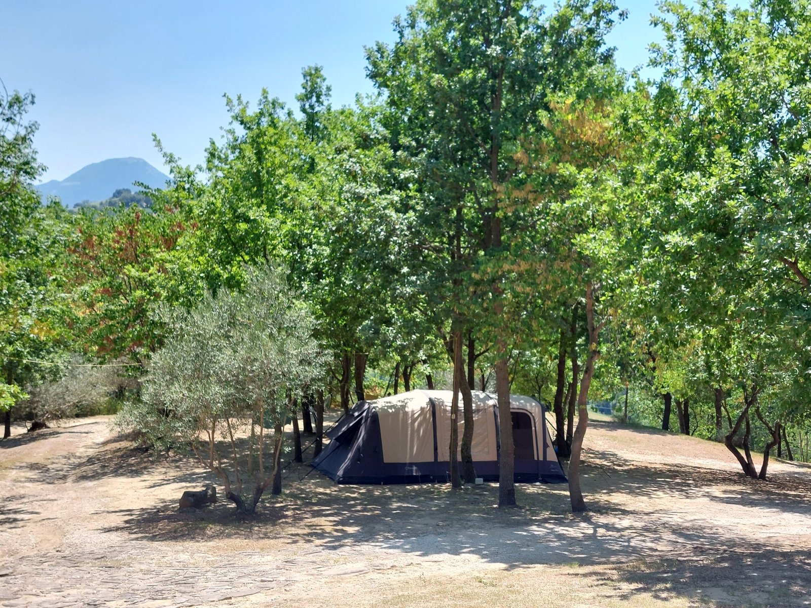Campeggio ombra Casa Aurora Le Marche