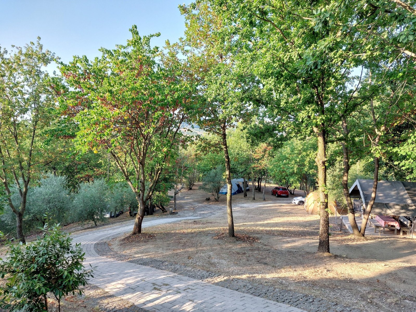 Agriturismo Campsite shadow le marche Italy
